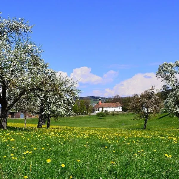Spring Break Language Course in Aarau