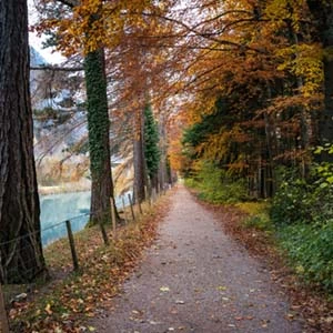 Herbstferien Sprachkurs in Aarau